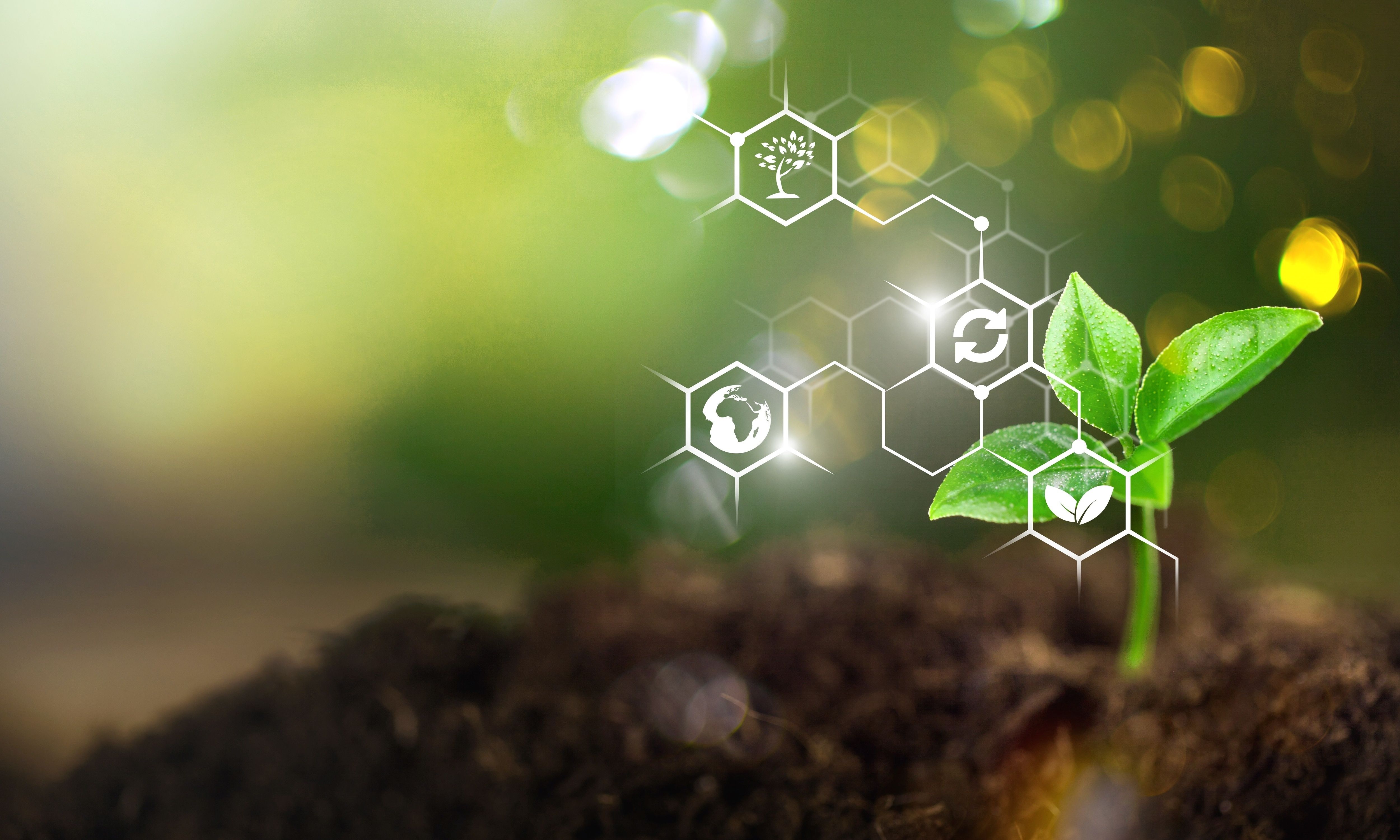 Sustainable Materials 